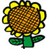 sunflower.jpg